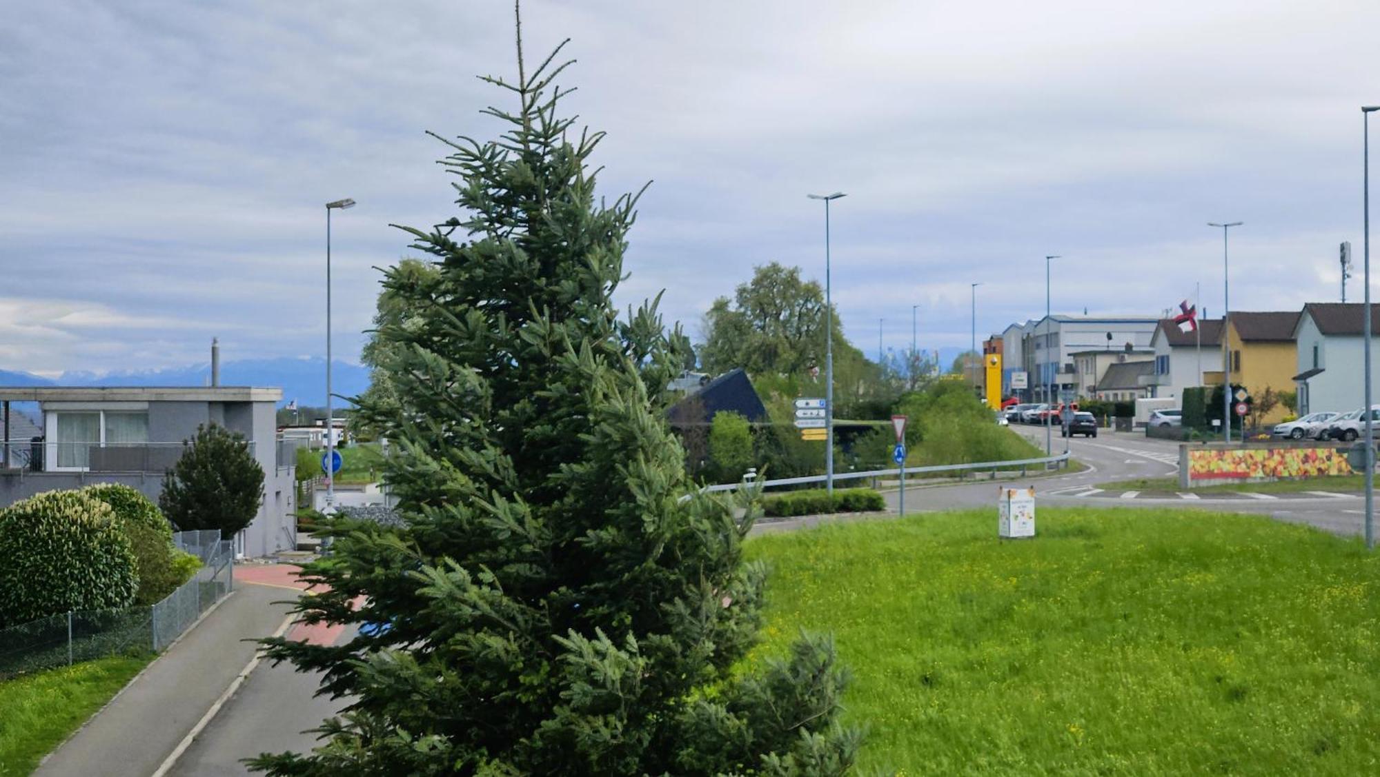 Mbar Hotel Altnau Bagian luar foto